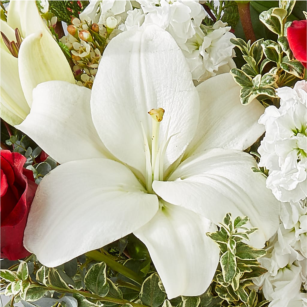 Twinkle Lights Bouquet – EVERYTHING'S GREEN FLORIST, Redwood City CA