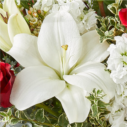 Twinkle Lights Bouquet – EVERYTHING'S GREEN FLORIST, Redwood City CA