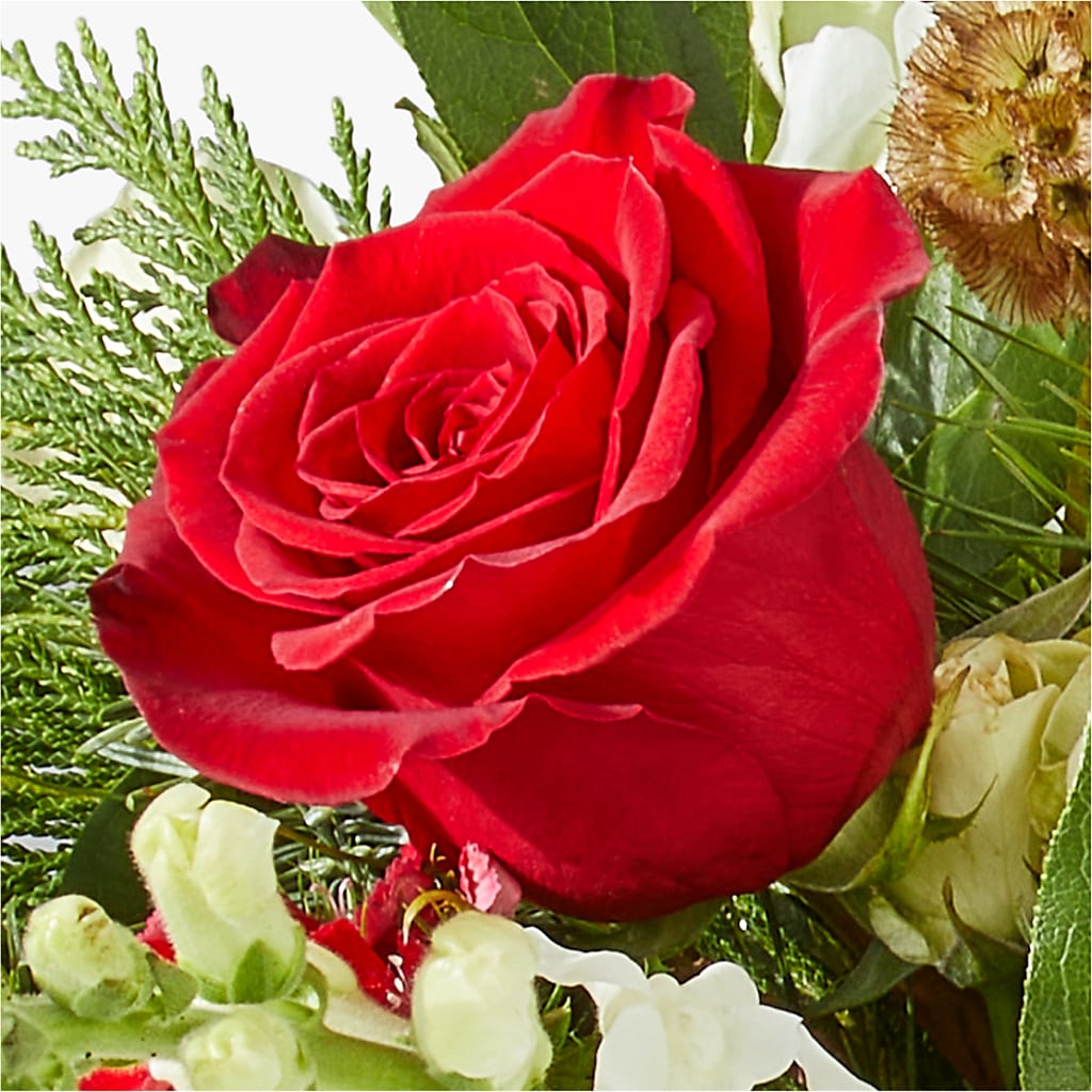 Deck the Halls Bouquet – EVERYTHING'S GREEN FLORIST, Redwood City CA