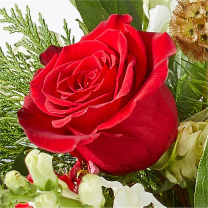 Deck the Halls Bouquet – EVERYTHING'S GREEN FLORIST, Redwood City CA
