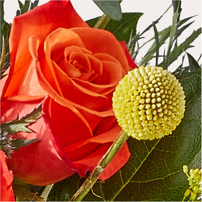 Disco Bouquet – EVERYTHING'S GREEN FLORIST, Redwood City CA
