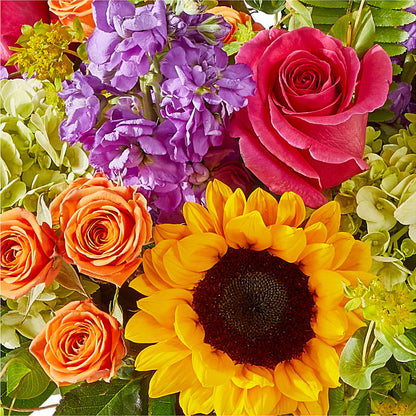 Vibrant Greetings Bouquet – EVERYTHING'S GREEN FLORIST, Redwood City CA