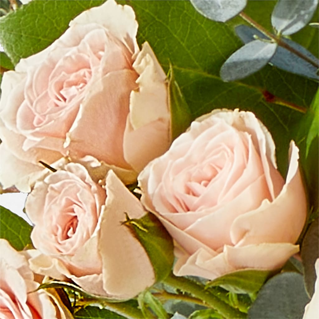Inspired Bouquet – EVERYTHING'S GREEN FLORIST, Redwood City CA