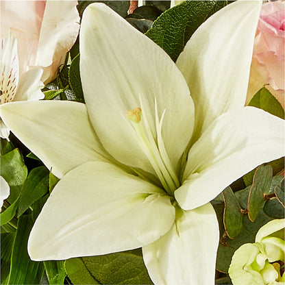 Ballet Slippers Bouquet – EVERYTHING'S GREEN FLORIST, Redwood City CA