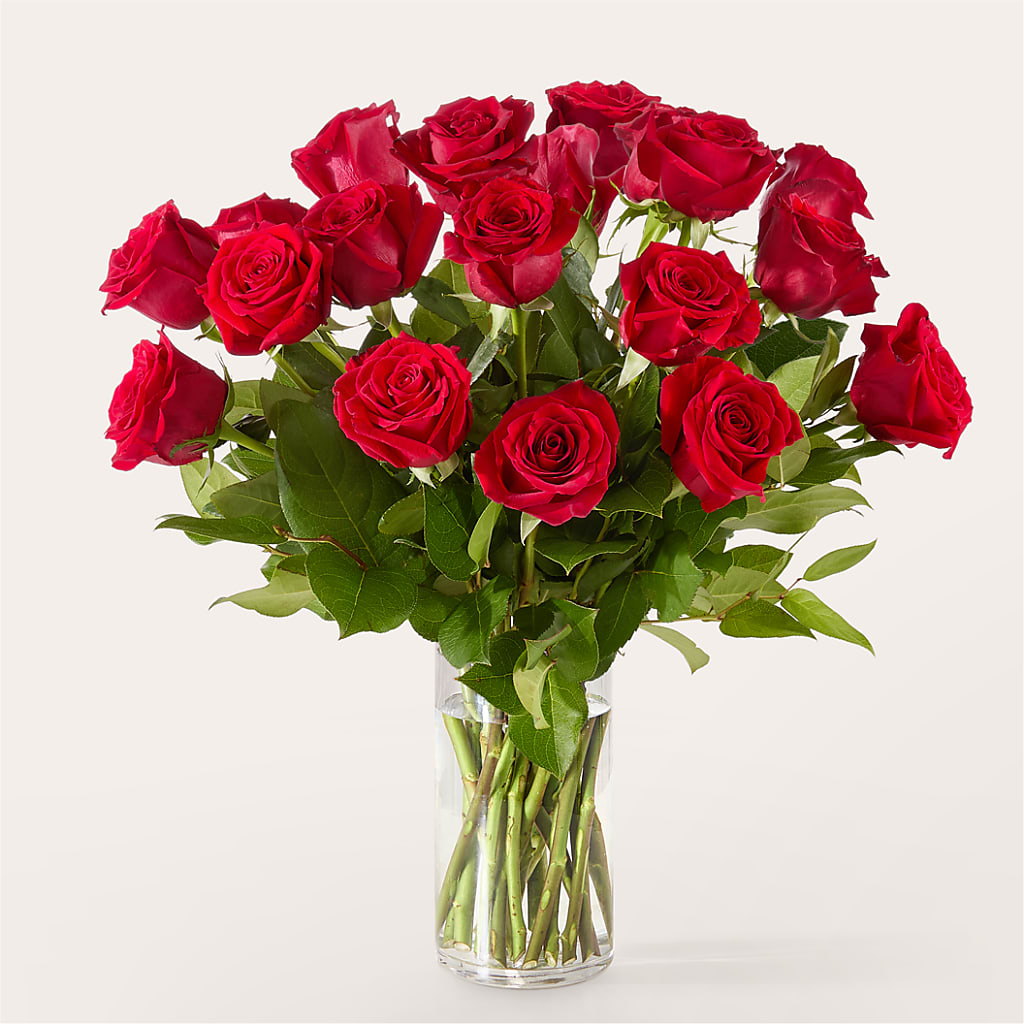 The One Red Rose Bouquet – EVERYTHING'S GREEN FLORIST, Redwood City CA