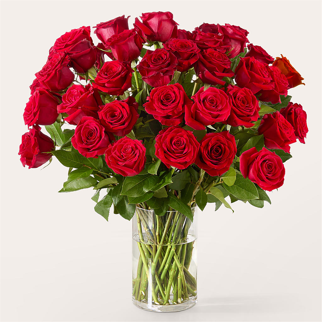 The One Red Rose Bouquet – EVERYTHING'S GREEN FLORIST, Redwood City CA