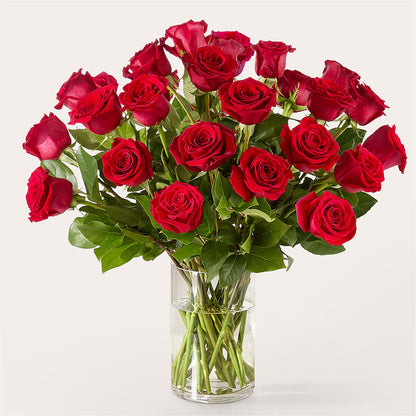 The One Red Rose Bouquet – EVERYTHING'S GREEN FLORIST, Redwood City CA