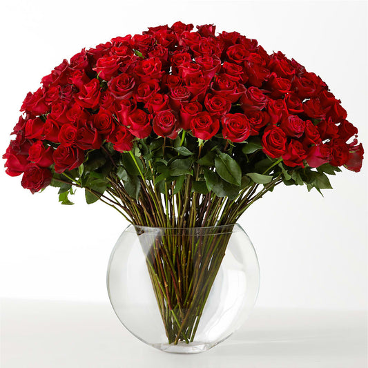 The Idealist – EVERYTHING'S GREEN FLORIST, Redwood City CA
