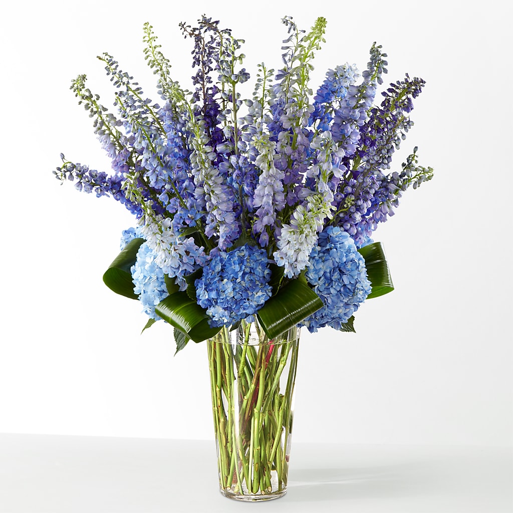 The Editorial – EVERYTHING'S GREEN FLORIST, Redwood City CA